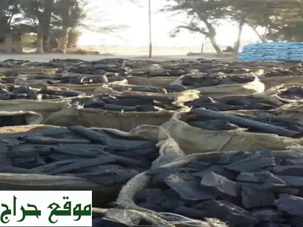 sudanese natural coal for sale and export <br/>we have sudanese natural charcoal, toasted first...
