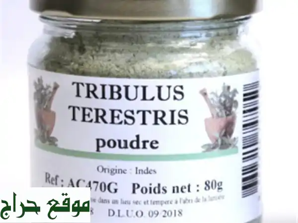 TRIBULUS TERRESTRIS PUR