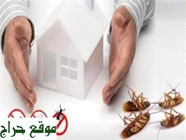 شركة مكافحة حشرات في أبوظبي كافة خدمات مكافحة...