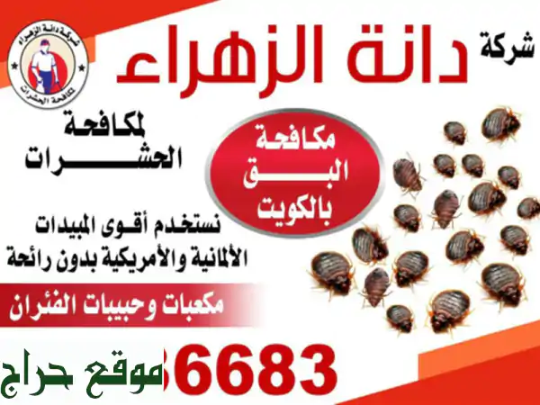 كافحة القوارض 66004649 شركة الكويت لمكافحة الحشرات