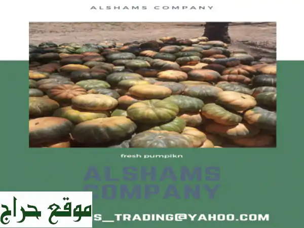 hello we're alshams company <br/>we're global exporter and supplier of #pumpkin ... <br/>we're bulk ...