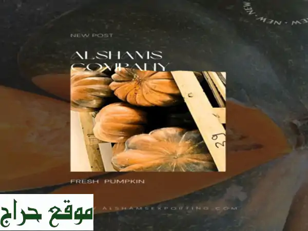 hello we're alshams company <br/>we're global exporter and supplier of #pumpkin <br/>we're bulk quantity ...