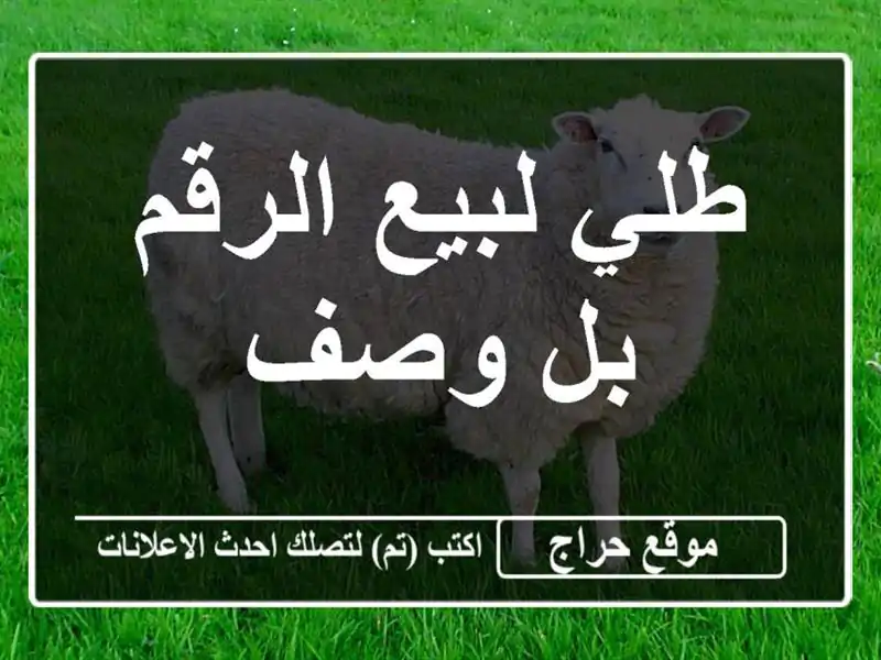 طلي لبيع الرقم بل وصف