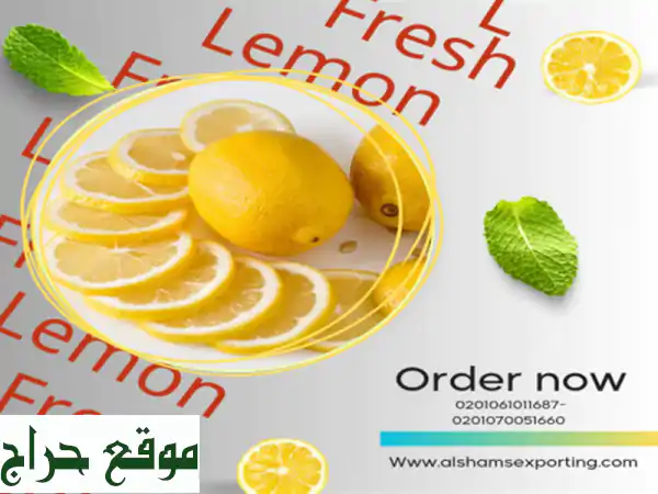 we are alshams for general import and export . <br/>we can supply all kinds of...