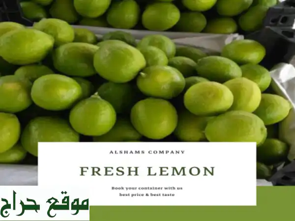 we are alshams for general import and export . <br/>we can supply all kinds of agricultural products ...