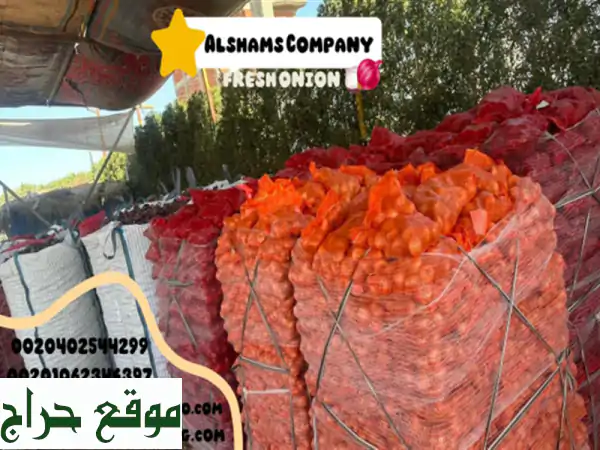 hello we're alshams company <br/>we're global exporter and supplier of #fresh onion <br/>we're bulk ...