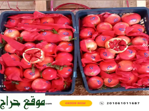 welcome <br/>fresh pomegranate <br/>a new season and a new product, it is fresh pomegranate <br/>the benefits ...