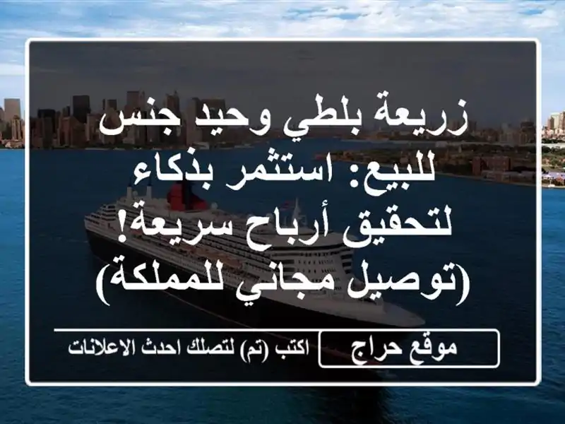 زريعة بلطي وحيد جنس للبيع: استثمر بذكاء لتحقيق...