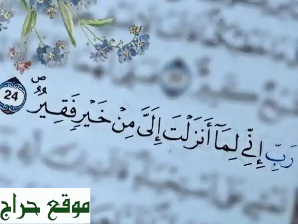 محفظ قرآن كريم مجاز (حفص عن عاصم) | خبرة أطفال وكبار...