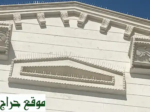 وداعاً للحمام والطيور! حل نهائي وفعال في الدوحة