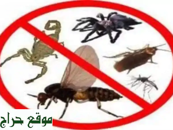 مكافحة حشرات في قطر | تخلص نهائيًا من النمل،...