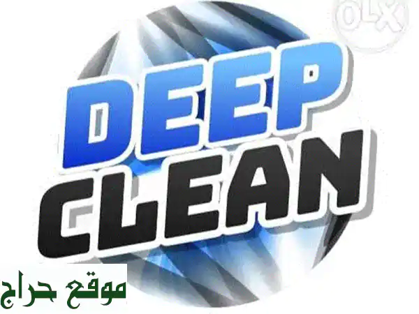 Professional CLeaners