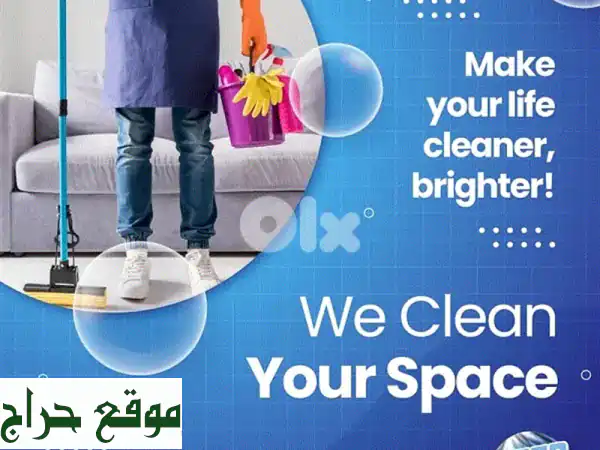 Professional CLeaners