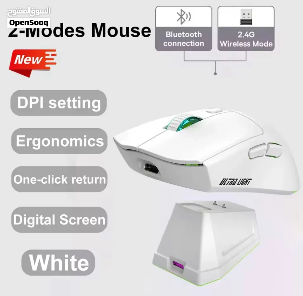 Mouse ( read first )