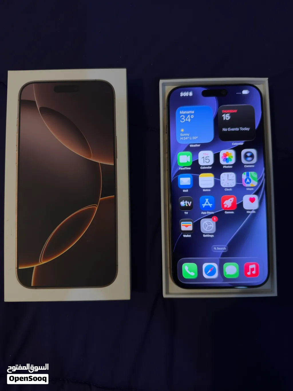 iPhone 16 Pro Max