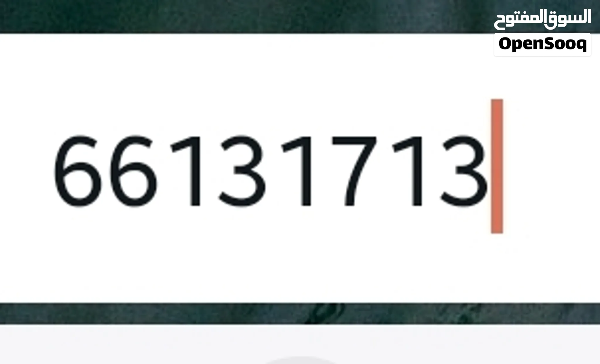 رقم هاتف مميز من فيفا