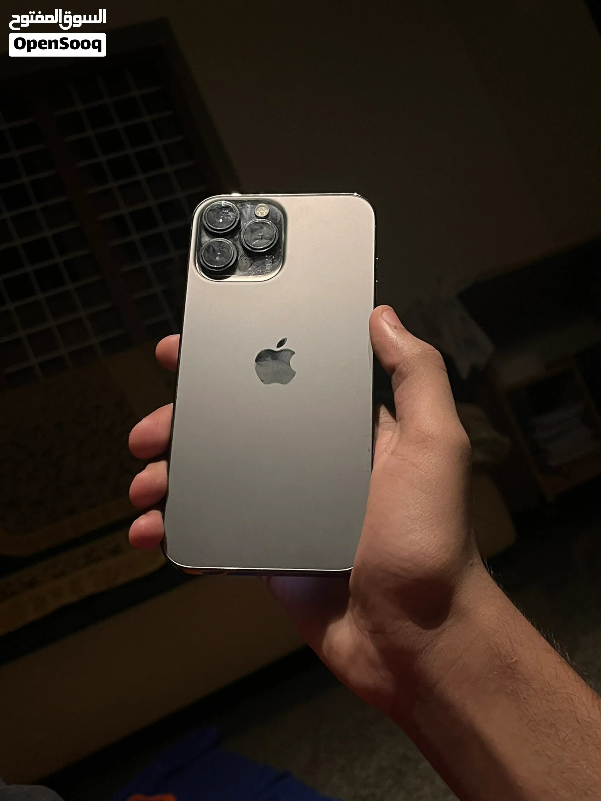 Iphone 13 pro max