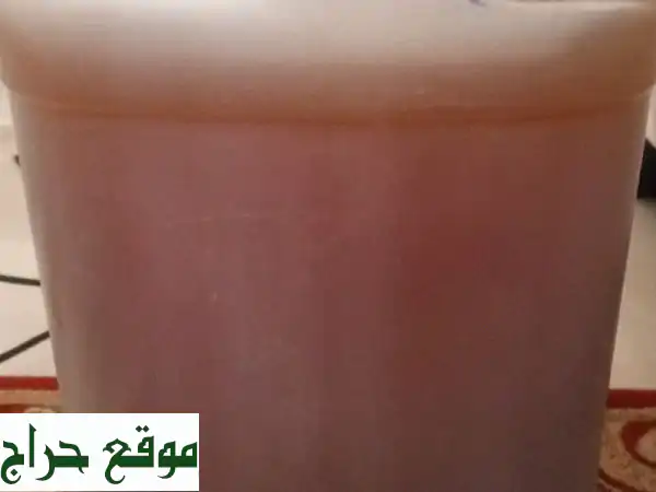 عسل سدر حضرمي أصلي 7 كجم | حصاد العام الطازج | مذاق الصحة والأصالة (كمية محدودة)