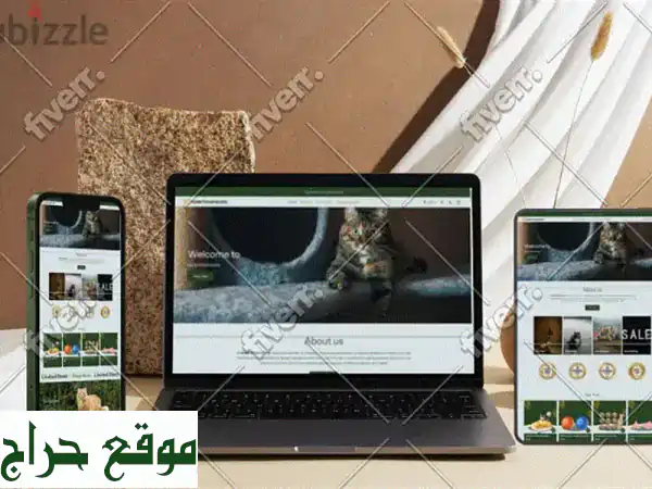 تصميم متاجر شوبيفاي احترافي: متجرك الرقمي بنجاح مضمون! 4