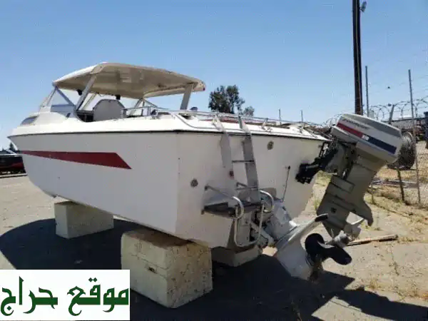 فرصة لا تعوض: قارب كلايزلر موديل 2000 بكابينة فاخرة - للصيد والنزهات البحرية | 25 ألف درهم فقط! 3