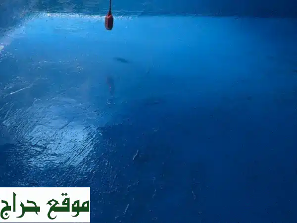 خدمات مكافحة الحشرات وتنظيف وتعقيم الخزانات | حماية متكاملة لبيتك ومدرستك