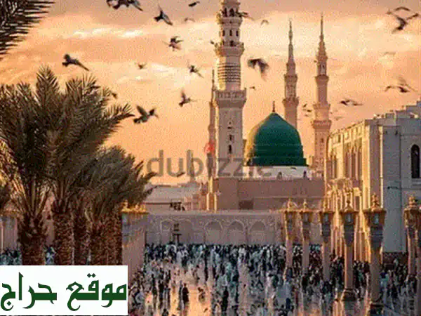 مدرس إنجليزي خصوصي أونلاين: دروس ممتعة وشخصية لتعلم الإنجليزية بثقة!