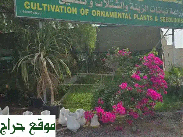 حديقتك تُنير ومبناك يبهج! | مشغل الحضري: خبراء تنسيق الحدائق، تنظيف المباني، ومكافحة الحشرات في مسقط والباطنة 3