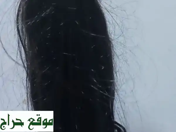 باروكات ووصلات شعر بأبوظبي | أسعار لا تُصدق في شارع الفلاح! 3
