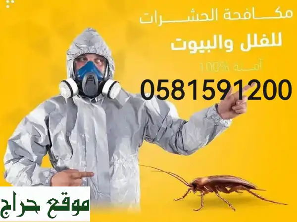 راحة بالك تبدأ معنا: مكافحة حشرات شاملة، تنظيف خزانات وكنب بضمان! 2