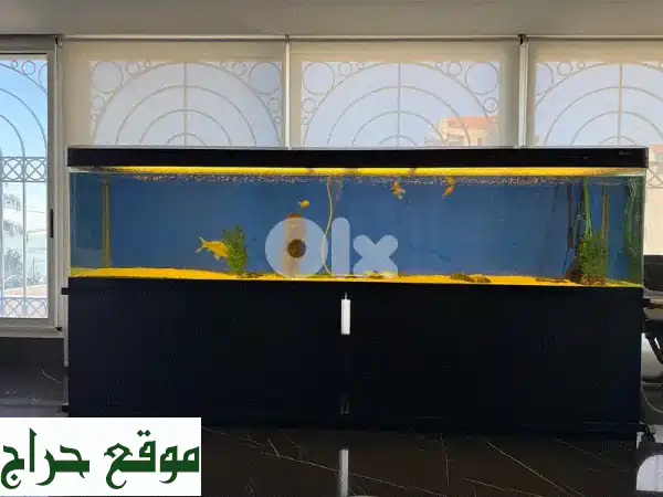 حوض سمك فاخر عملاق 2.9 متر - باك كامل جاهز لإنشاء جنتك المائية! 2