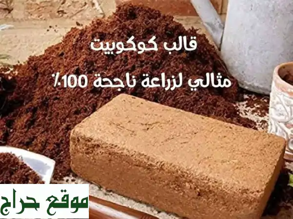 كوكوبيت بلوكات بالجملة في الإمارات: موردك الموثوق لجودة استثنائية 3