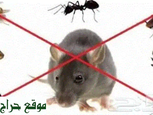 مكافحة الحشرات الشاملة: تخلص نهائي من النمل والصراصير | خدمات احترافية لمنزل آمن وصحي 2