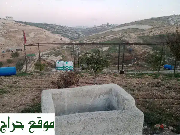 مزرعة الأحلام في إربد - تقبل: زيتون فاخر، إطلالة ساحرة، بئر ماء - بسعر مغري (من المالك مباشرة) 3