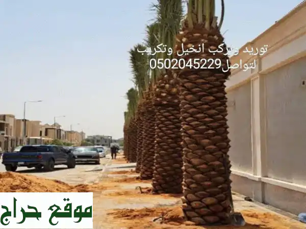 قلع وركز النخيل وتلقيح وكريب وتوريد جميع النخيل