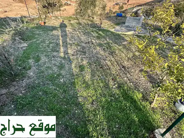 مزرعة الأحلام في إربد - تقبل: زيتون فاخر، إطلالة ساحرة، بئر ماء - بسعر مغري (من المالك مباشرة) 2