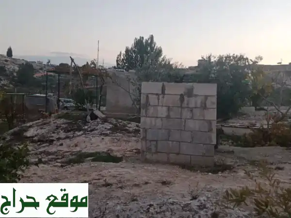 مزرعة الأحلام في إربد - تقبل: زيتون فاخر، إطلالة ساحرة، بئر ماء - بسعر مغري (من المالك مباشرة) 4