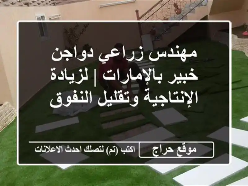 مهندس زراعي دواجن خبير بالإمارات | لزيادة الإنتاجية وتقليل النفوق