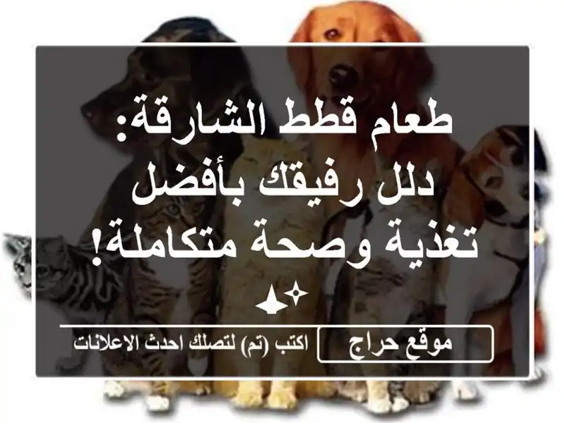 طعام قطط الشارقة: دلل رفيقك بأفضل تغذية وصحة متكاملة! ✨