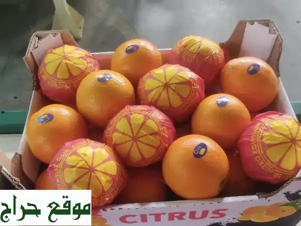 عرض حصري: برتقال فالنسيا مصري طازج - بأرخص أسعار الجملة!