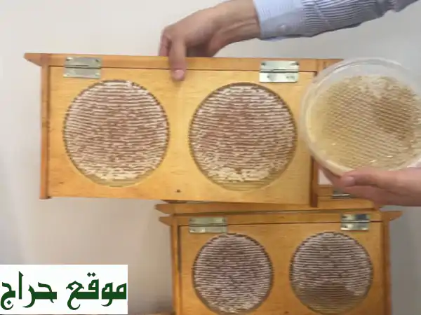 عسل إماراتي طبيعي أصيل | كنوز السدر، السمر، الغاف لصحة و حيوية لا مثيل لها! 2