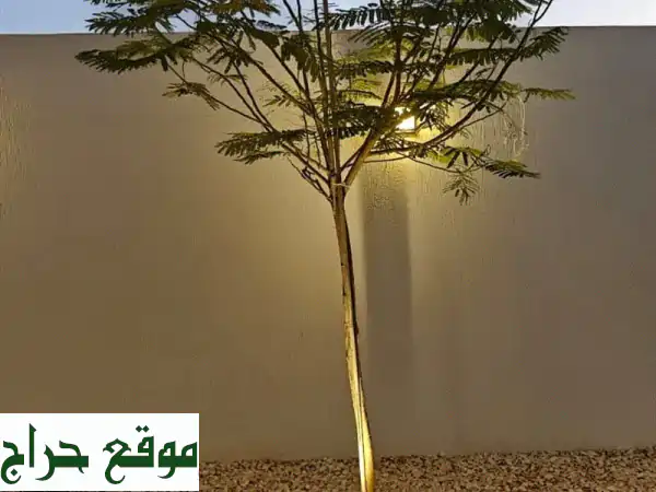 النبراس لاند سكيب: تصميم وتنفيذ أعمال لاند سكيب وحدائق أحلامك 3