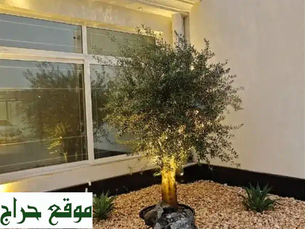 النبراس لاند سكيب: تصميم وتنفيذ أعمال لاند سكيب وحدائق أحلامك 2