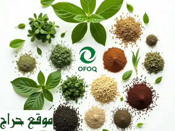 أفق: شريكك الموثوق لاستيراد وتصدير المواد الغذائية عالية الجودة | منتجات مصرية للخليج 3