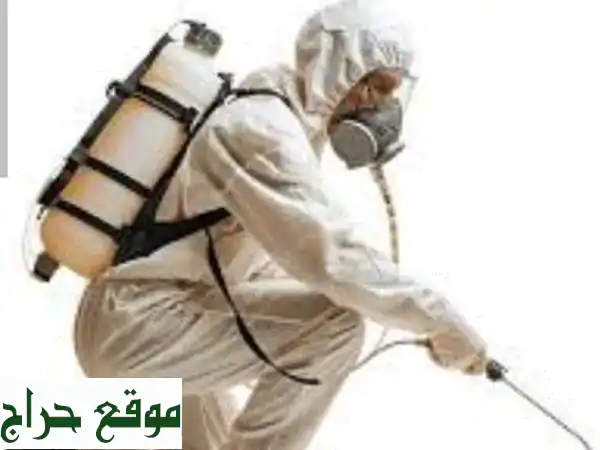 مكافحة حشرات فورية: خصم 30% + ضمان 6 أشهر! ودّع الآفات نهائيًا