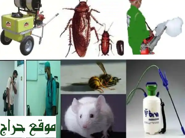 نسيم الشغف لمكافحة الحشرات وآفات الصحة العامة والنمل الأبيض والتب خير والأعمال الزراعية وتعقيم ... 4