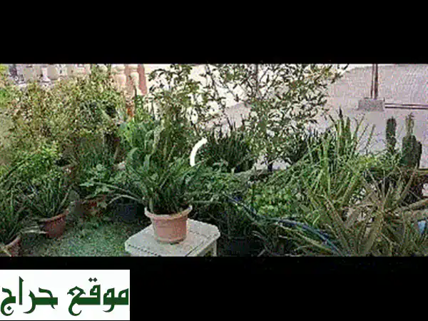 وداعاً للفوضى! 🌟 ستاند ملابس جديد للبيع | حلول تنظيمية عصرية لمنزلك الأنيق 4
