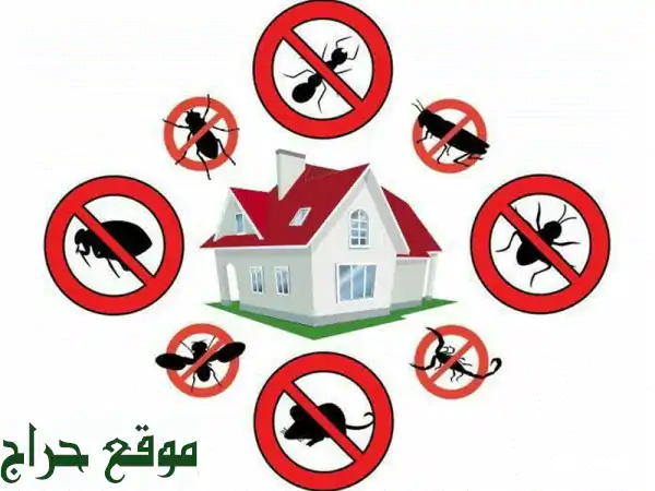 هوم كلين: مكافحة حشرات بجدة ومكة | تخلص نهائياً من الصراصير، البق، النمل، الفئران