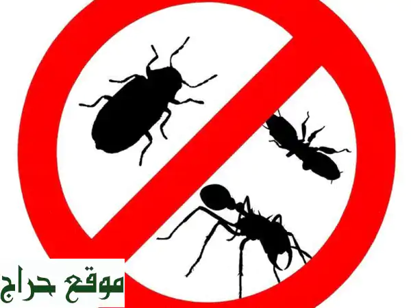 هوم كلين: مكافحة حشرات بجدة ومكة | تخلص نهائياً من الصراصير، البق، النمل، الفئران 4