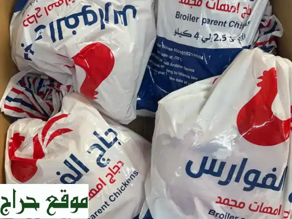 دجاج بياض وأمهات مجمد للبيع بكميات | جودة مضمونة لكافة أنحاء المملكة - واتساب الآن! 4