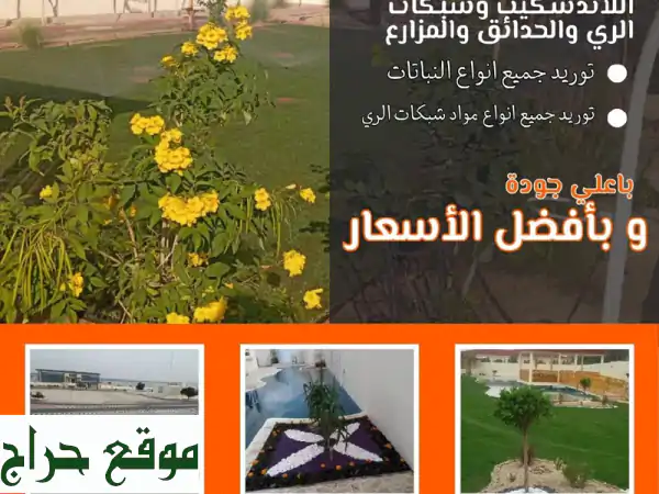 أشجار ونباتات الإمارات: توصيل وتركيب | جودة عالية وأسعار تنافسية